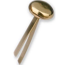 1 Boite de 100 Attaches parisiennes 30 mm