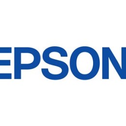 EPSON 5LB T6421 ink cartridge photo black standard capacity 150ml 1-pack