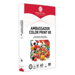 1 Carton de 3 Ramettes de 500 flles papier blanc A3 80g AMBASS. COLOR PRINT FIDUCIAL