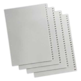 1 Jeu d'intercalaires numériques FIDUCIAL polyprop. A4 maxi 100 touches