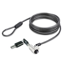 StarTech.com Câble Antivol PC Compatible avec Noble Wedge®, Verrou à Clé - Câble de sécurité - argent, noir - 2 m
