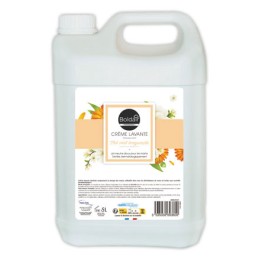 1 Bidon de savon BOLDAIR parfum Thé vertBergamote -5L