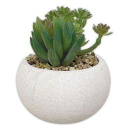 1 Lot de 3 plantes succulentes artificielles
