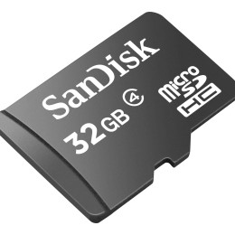 SanDisk - Carte mémoire flash - 32 Go - Class 4 - micro SDHC - noir