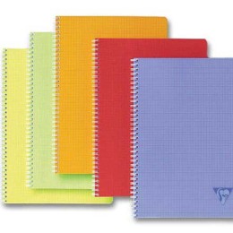 1 Cahier spirale Linicolor 17x22 cm 100 pages, Seyès, 90g