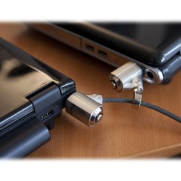 URBAN FACTORY Cable Security Anti Vol - 2 Verrous