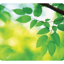 FELLOWES Earth Series Mouse pad Blade