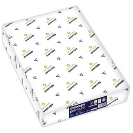 1 Carton de 5 ramettes de 500 feuilles de papier très blanc A3 Everycopy premium 80G