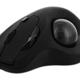 1 Souris Trackball sans fil