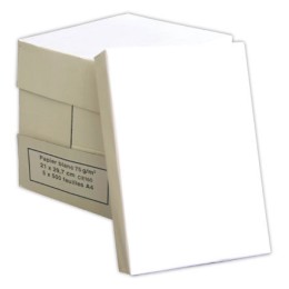 1 Carton de 5 Ramettes de 500 feuilles de papier blanc A4 75G