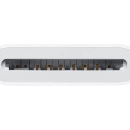 Apple USB-C to SD Card Reader - Lecteur de carte (SD UHS-II) - USB-C