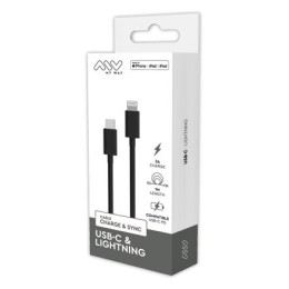 1 Câble USB-C Lightning 1m Noir