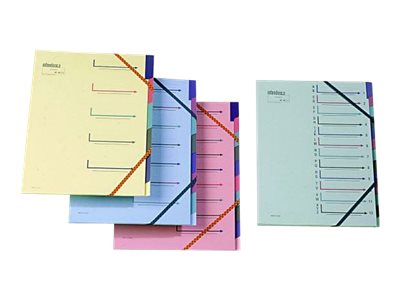 1 Trieur avec élastiques EXTENDOS - 12 compartiments