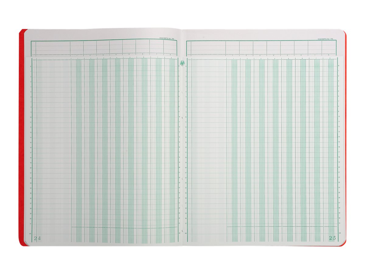 1 Piqûre comptable à tête paresseuse 31 lignes - 8 colonnes sur 1 page