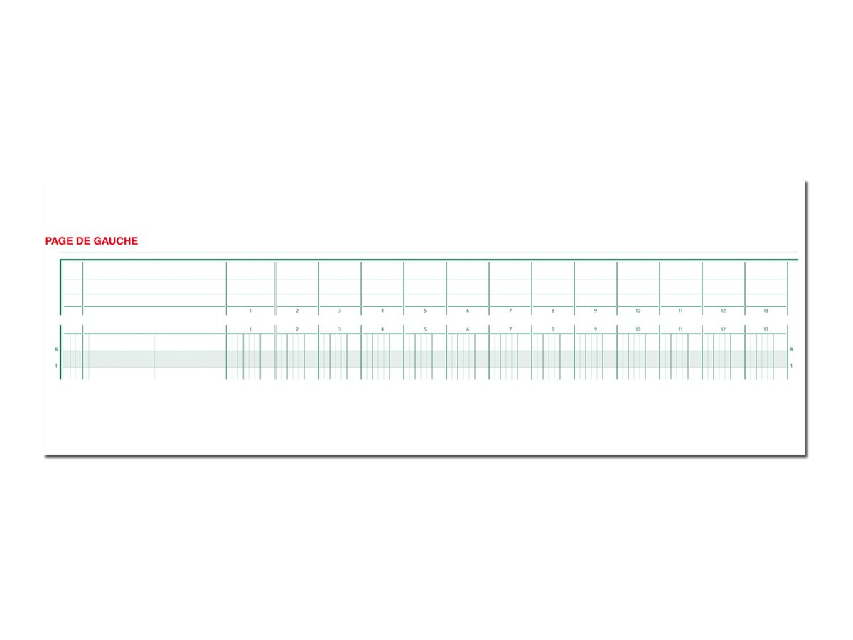 1 Piqûre comptable à tête paresseuse 31 lignes - 30 colonnes sur 2 pages