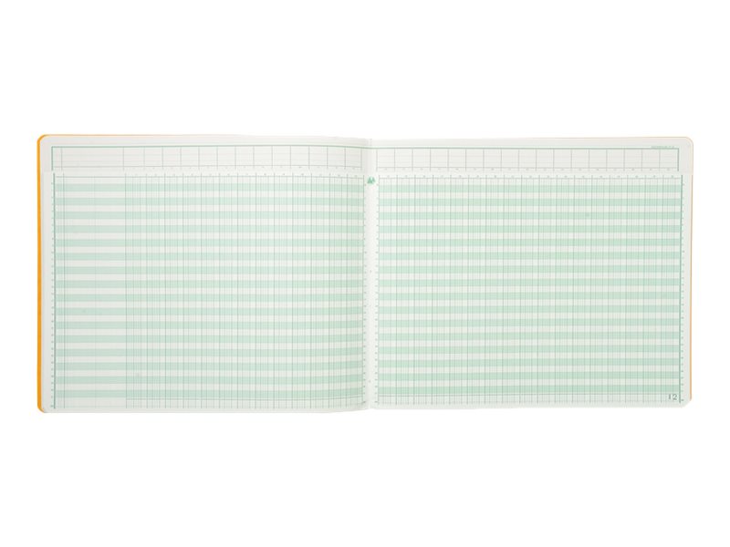 1 Piqûre comptable à tête paresseuse 31 lignes - 30 colonnes sur 2 pages