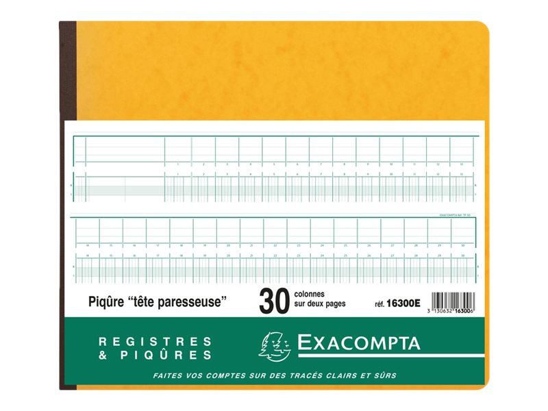 1 Piqûre comptable à tête paresseuse 31 lignes - 30 colonnes sur 2 pages