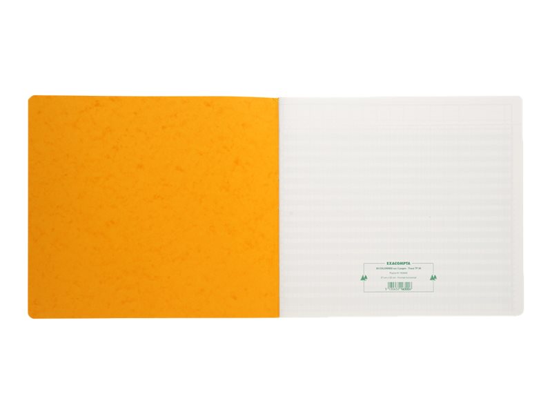 1 Piqûre comptable à tête paresseuse 31 lignes - 30 colonnes sur 2 pages