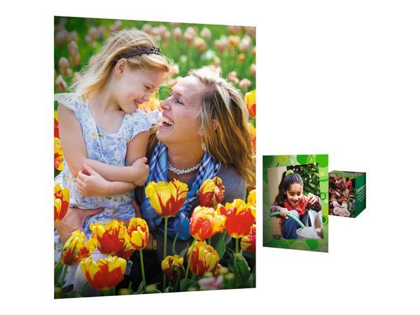 HP Papier photo Everyday, brillant, 200 g/m2, A4 (210 x 297 mm), 100 feuilles