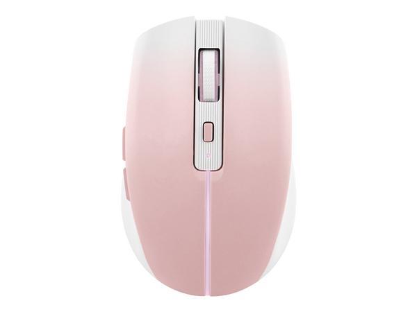 1 Souris gradient Dual Connect rose