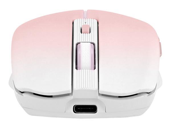 1 Souris gradient Dual Connect rose