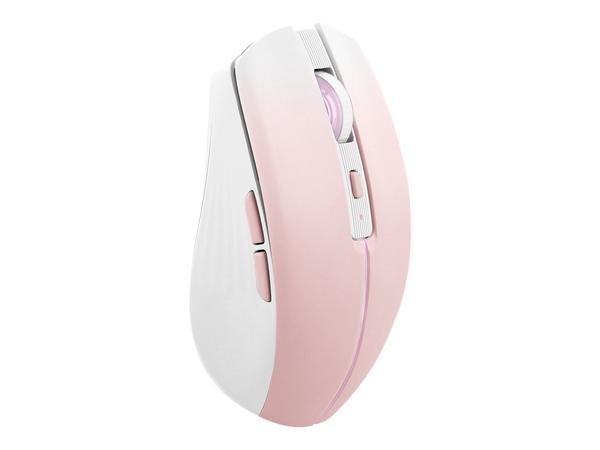 1 Souris gradient Dual Connect rose