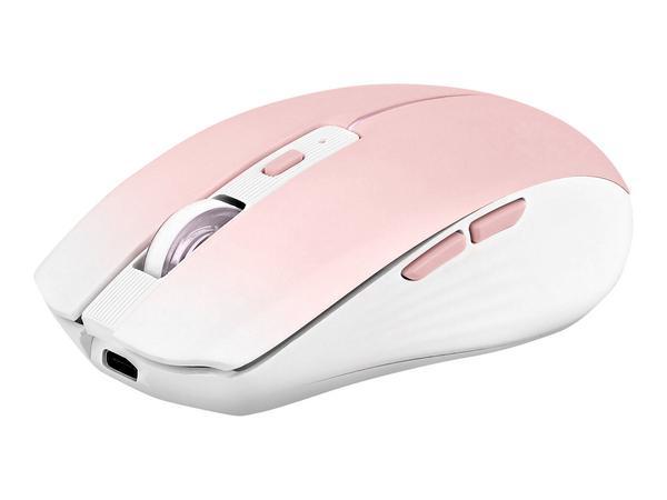1 Souris gradient Dual Connect rose