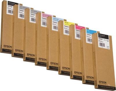 EPSON 5LB T6067 ink cartridge light black standard capacity 220ml 1-pack