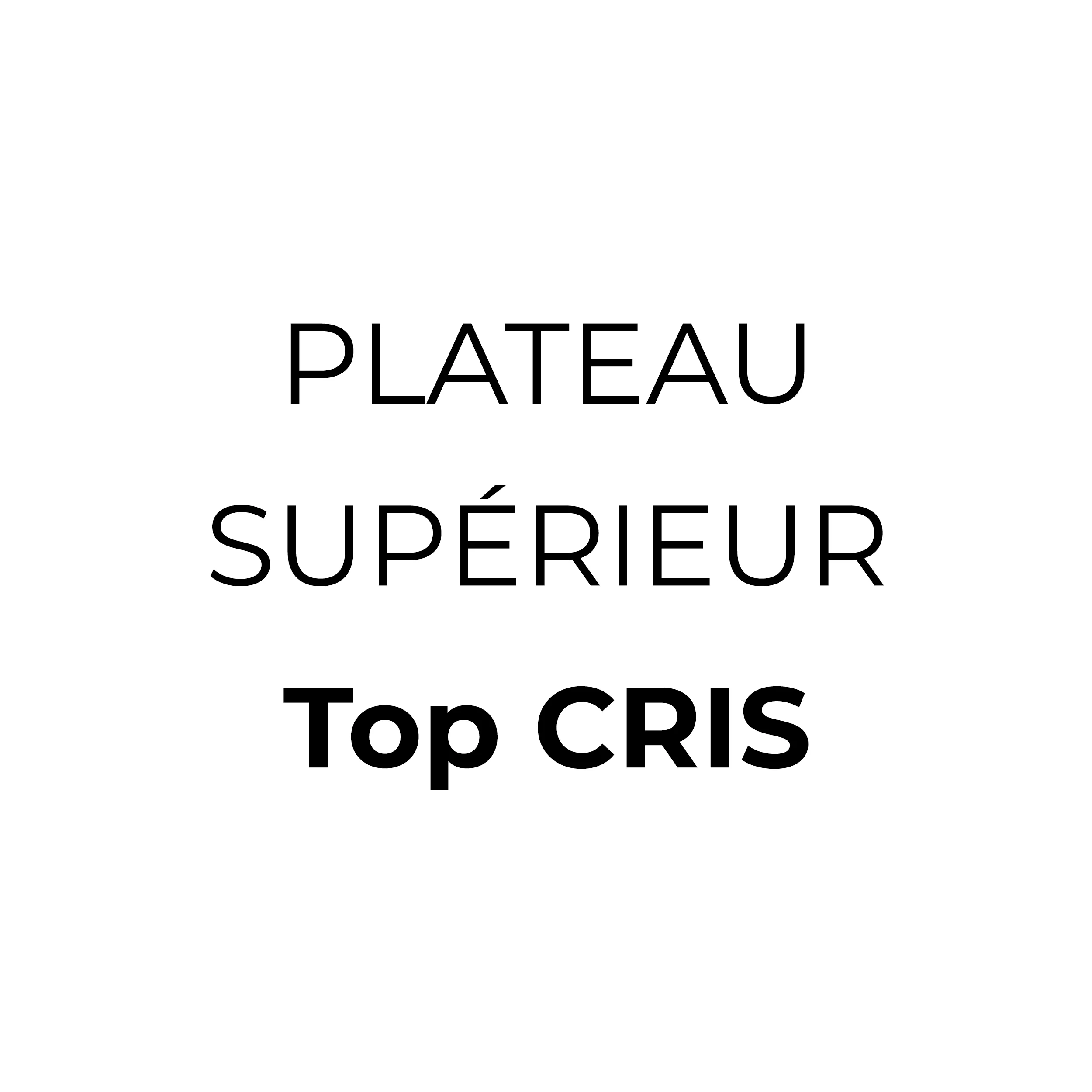 TOP CRIS PLATEAU SUPERIEUR