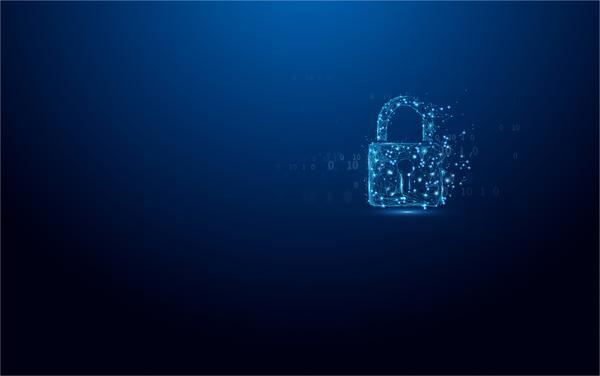 KINGSTON 16Go IronKey Vault Privacy 50 USB AES-256 Encrypted FIPS 197