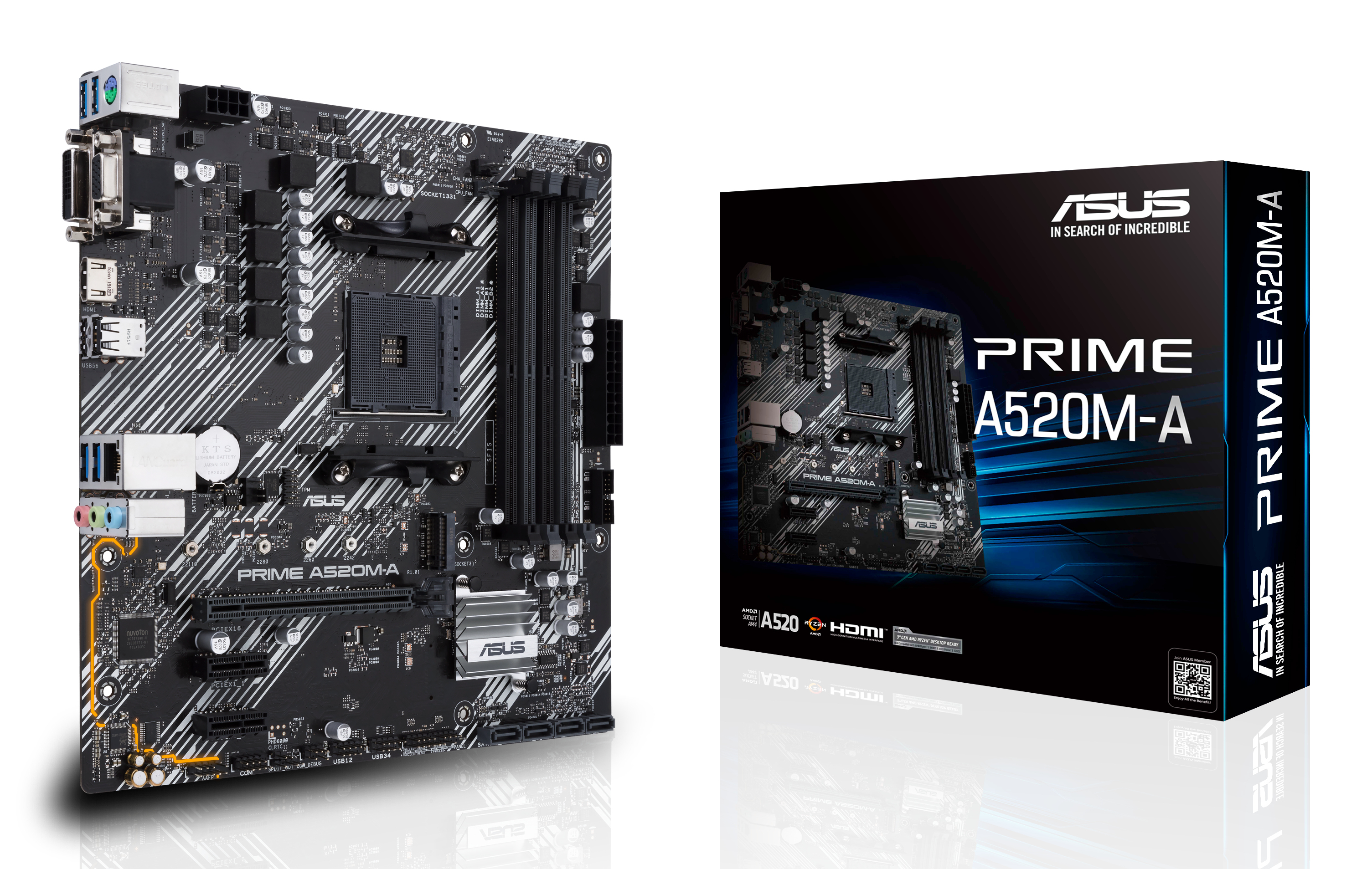 ASUS PRIME A520M-A II/CSM AMD A520 Emplacement AM4 micro ATX
