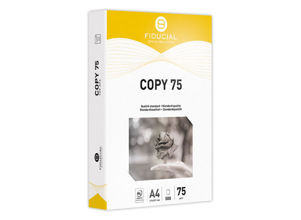 1 Carton de 5 Ramettes de 500 feuilles de papier blanc A4 75g COPY 75