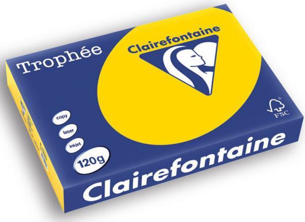 1 Ramette de 250 feuilles de papier Trophée A4 120g bouton d'or