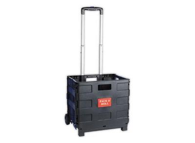 1 Bac de transport pliable