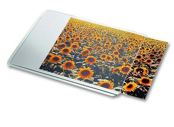 Esselte 67691 tapis de souris Transparent, Blanc