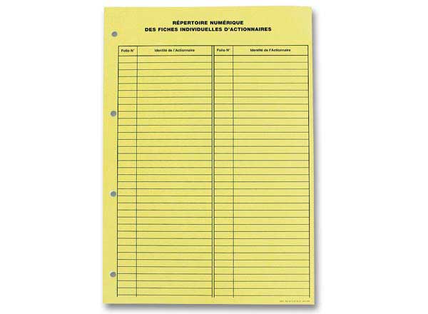 1 Jeu d'intercalaires numériques pour classeur comptabilité actions