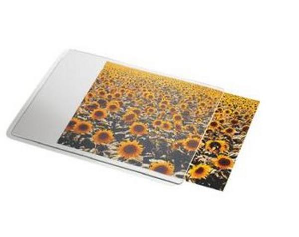 Esselte 67691 tapis de souris Transparent, Blanc