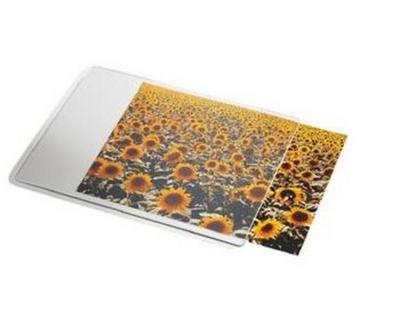 Esselte 67691 tapis de souris Transparent, Blanc