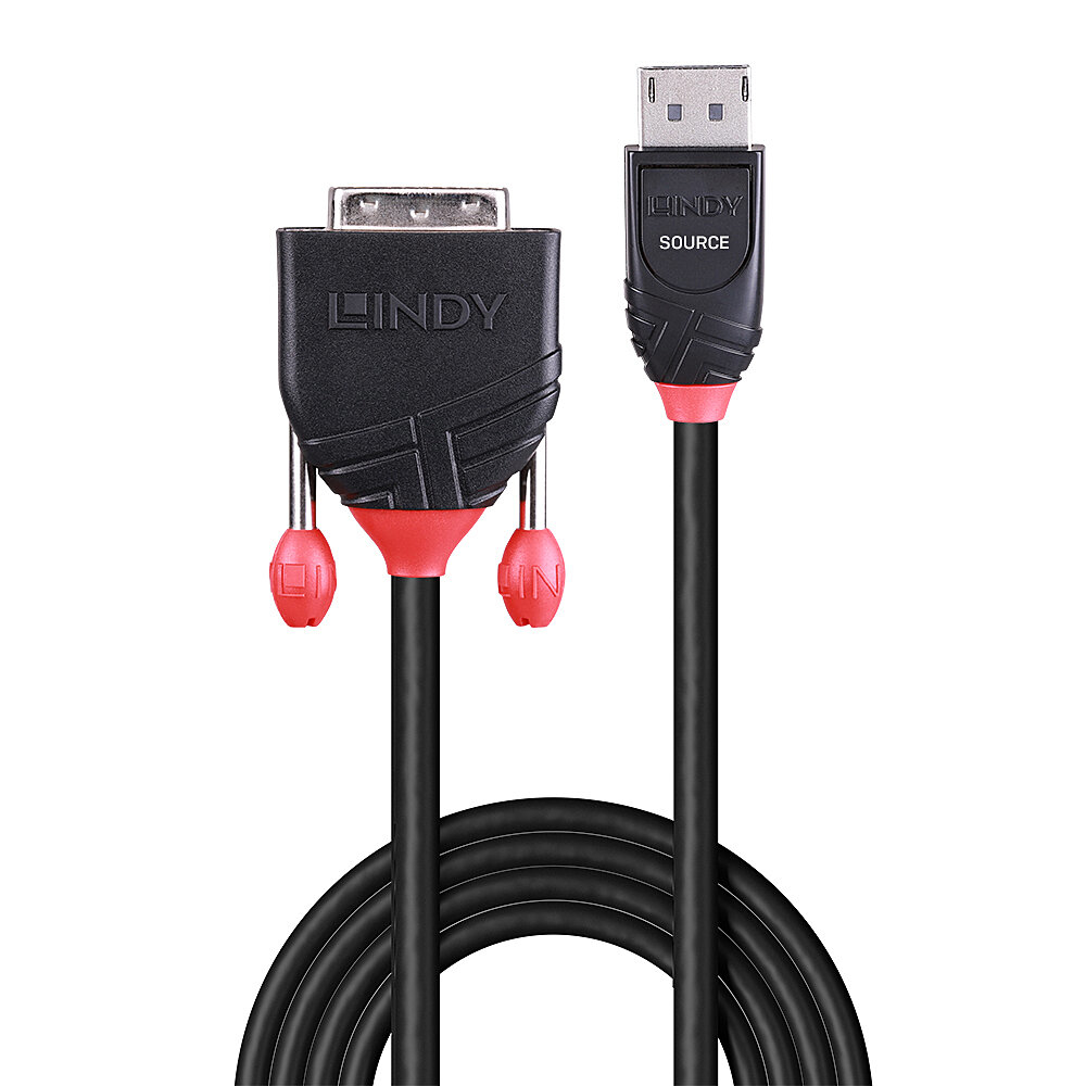 LINDY Câble DisplayPort vers DVI 1m