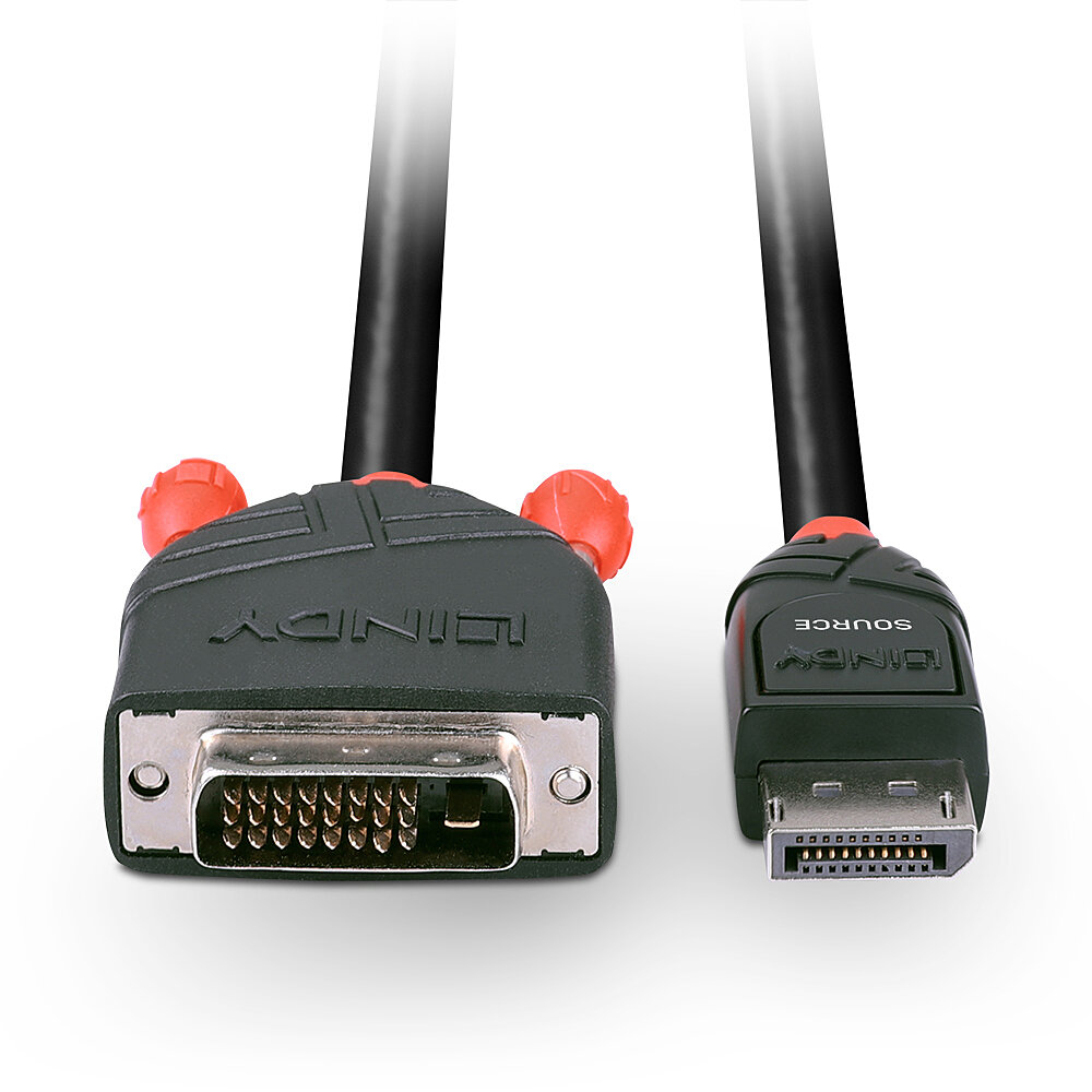 LINDY Câble DisplayPort vers DVI 1m