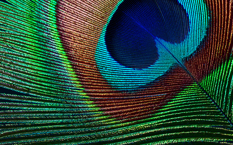 EPSON EH-TW7000 with HC lamp warranty