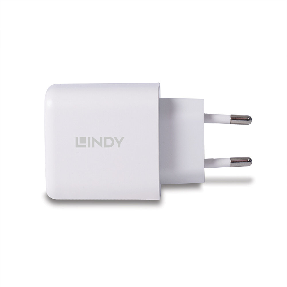 LINDY 65W USB Type A & C GaN Charger