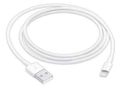 1 Câble USB / Lightning 1 m APPLE