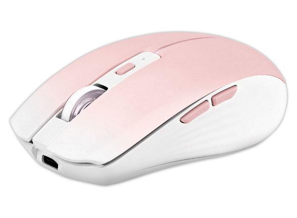 1 Souris gradient Dual Connect rose
