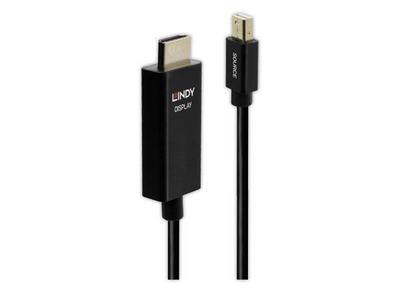 Lindy 40921 câble vidéo et adaptateur 1 m Mini DisplayPort HDMI Noir