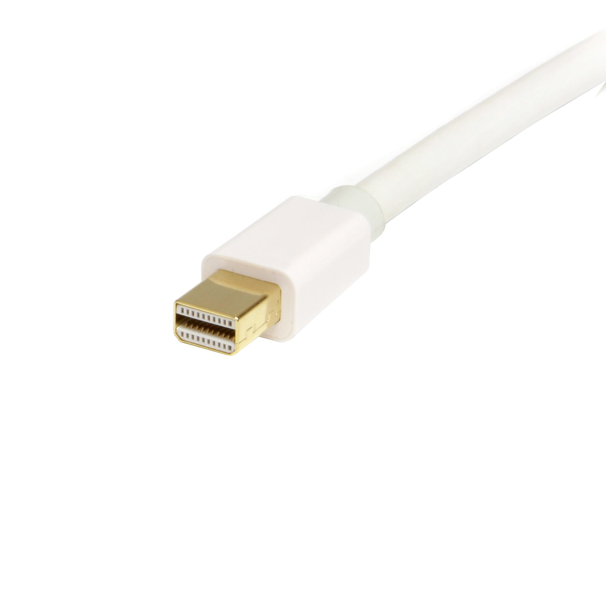 StarTech.com Câble adaptateur Mini DisplayPort vers DisplayPort 1.2 1m - Cordon Mini DP à DP - Support HBR2 - M/M - DisplayPort 4K - Blanc - Câble DisplayPort - Mini DisplayPort (M) pour DisplayPort (M) - 1 m - blanc - pour P/N: CDP2MDP, CDP2MDPEC, CDP2MD