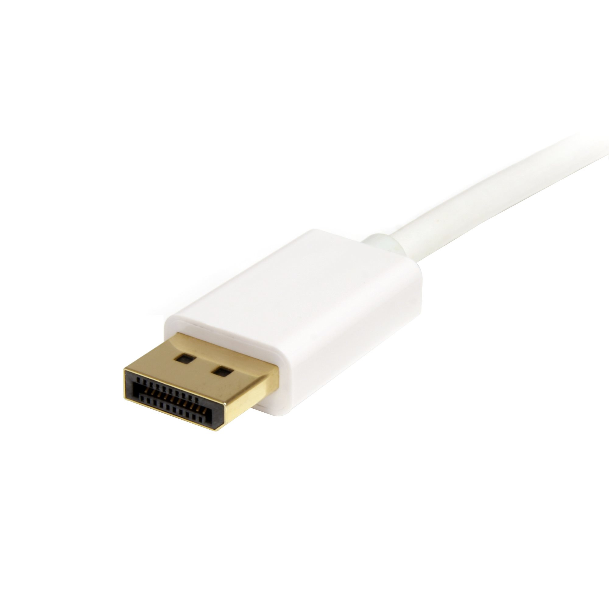 StarTech.com Câble adaptateur Mini DisplayPort vers DisplayPort 1.2 1m - Cordon Mini DP à DP - Support HBR2 - M/M - DisplayPort 4K - Blanc - Câble DisplayPort - Mini DisplayPort (M) pour DisplayPort (M) - 1 m - blanc - pour P/N: CDP2MDP, CDP2MDPEC, CDP2MD