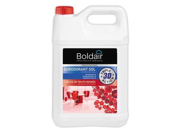 1 Bidon de nettoyant désinfectant surodorant Boldair - 5 litres