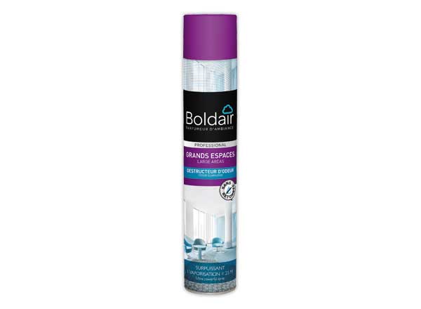 1 Désodorisant Boldair grands espaces destructeur d'odeur 750 ml