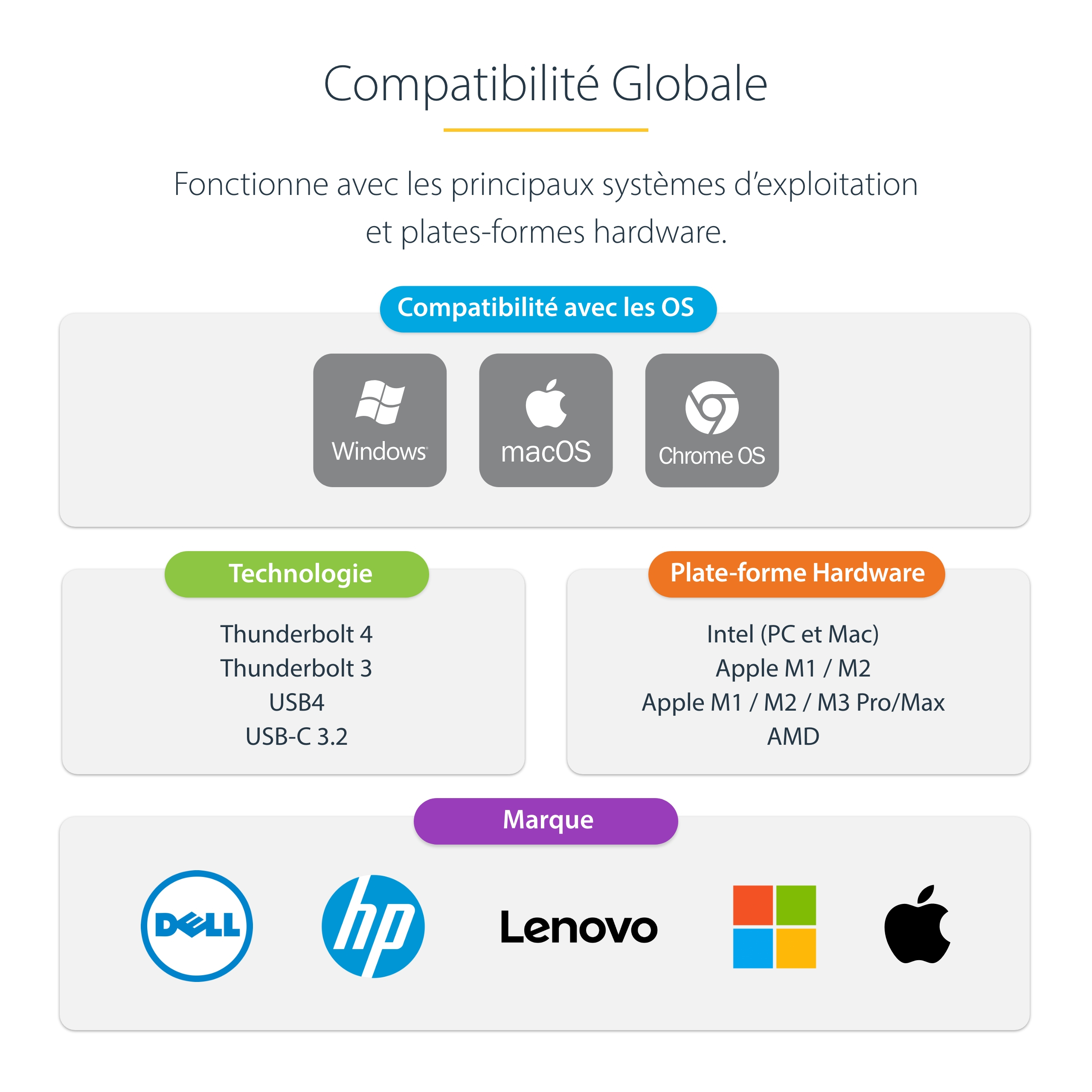 StarTech.com Dock Thunderbolt 4 pour Écrans Multiples, 2x HDMI/2x DP, USB - Station d'accueil - Thunderbolt 4 - 2 x DP, 2 x HDMI - 1GbE - 180 Watt